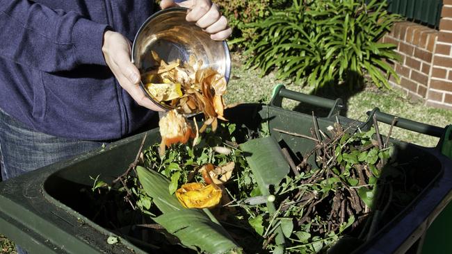 Households will be able to place food waste and garden scraps into the green bins. Picture: Supplied/ Minister for Environment and Heritage.