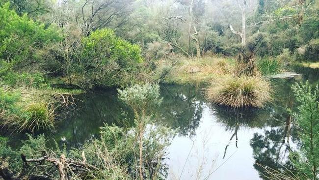 A lake on the Judds’ Arthurs Seat property.