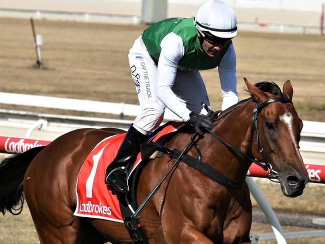 The Inevitable (David Pires) winning the 2023 Hellova Street Stakes in Launceston. Photo: Tasracing