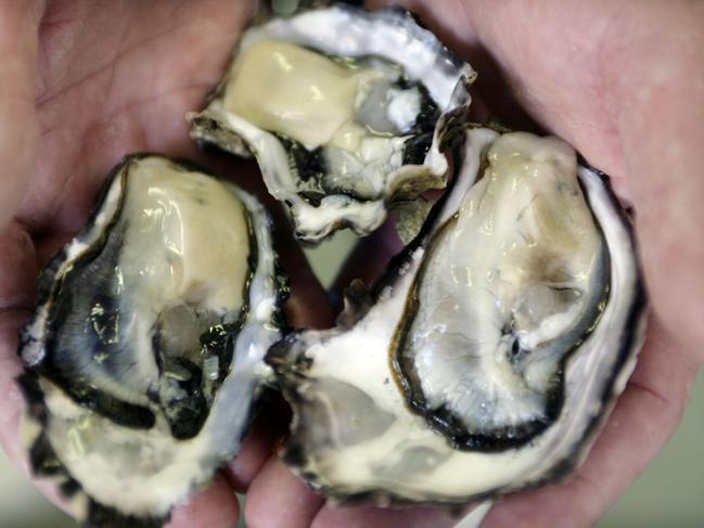 Try Fresh local Clyde River oysters, eaten on their own.