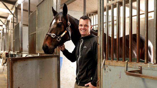 Trainer Joe Pride with Private Eye at his Warwick Farm stables prior to running in Saturdays Everest Cup at Randwick. Picture: Jane Dempster/The Australian.