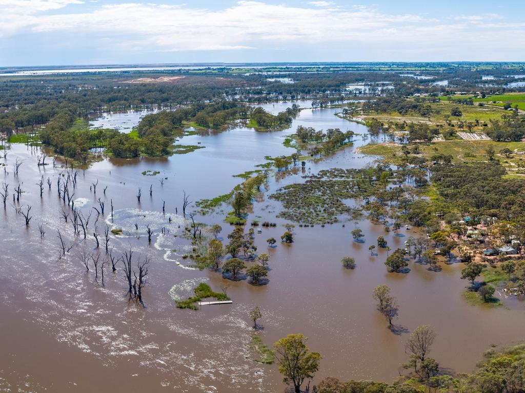 The River Murray flooding at Kingston On Murray on November 19, 2022. Picture: Kingston Murray River Pix