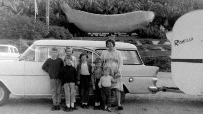 Coffs Harbour's Big Banana has been a tourist drawcard since day dot.