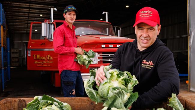 Vegetable grower Chris Musolino from South Australia.