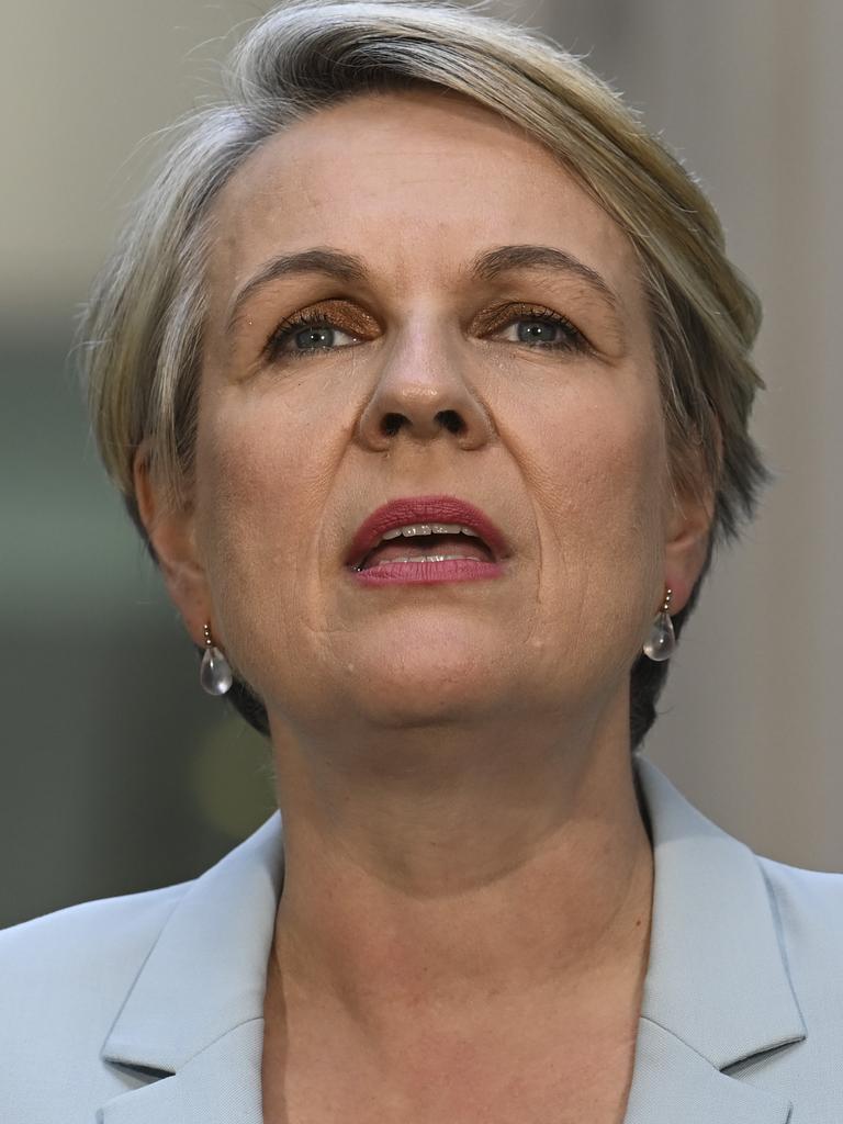 Federal Environment Minister Tanya Plibersek. Picture: NCA NewsWire / Martin Ollman