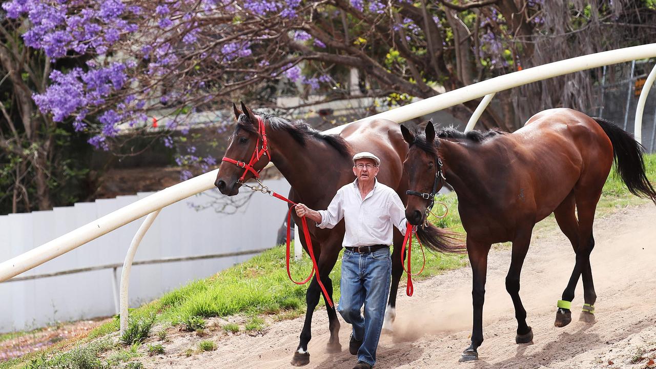 Trainer Ron Quinton with Daysee Doom and Dixie Blossoms