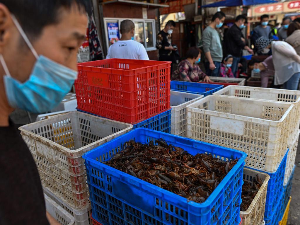 The dominant theory has been Covid-19 made the leap from animals to humans at a wet market in Wuhan. Picture: Hector Retamal / AFP