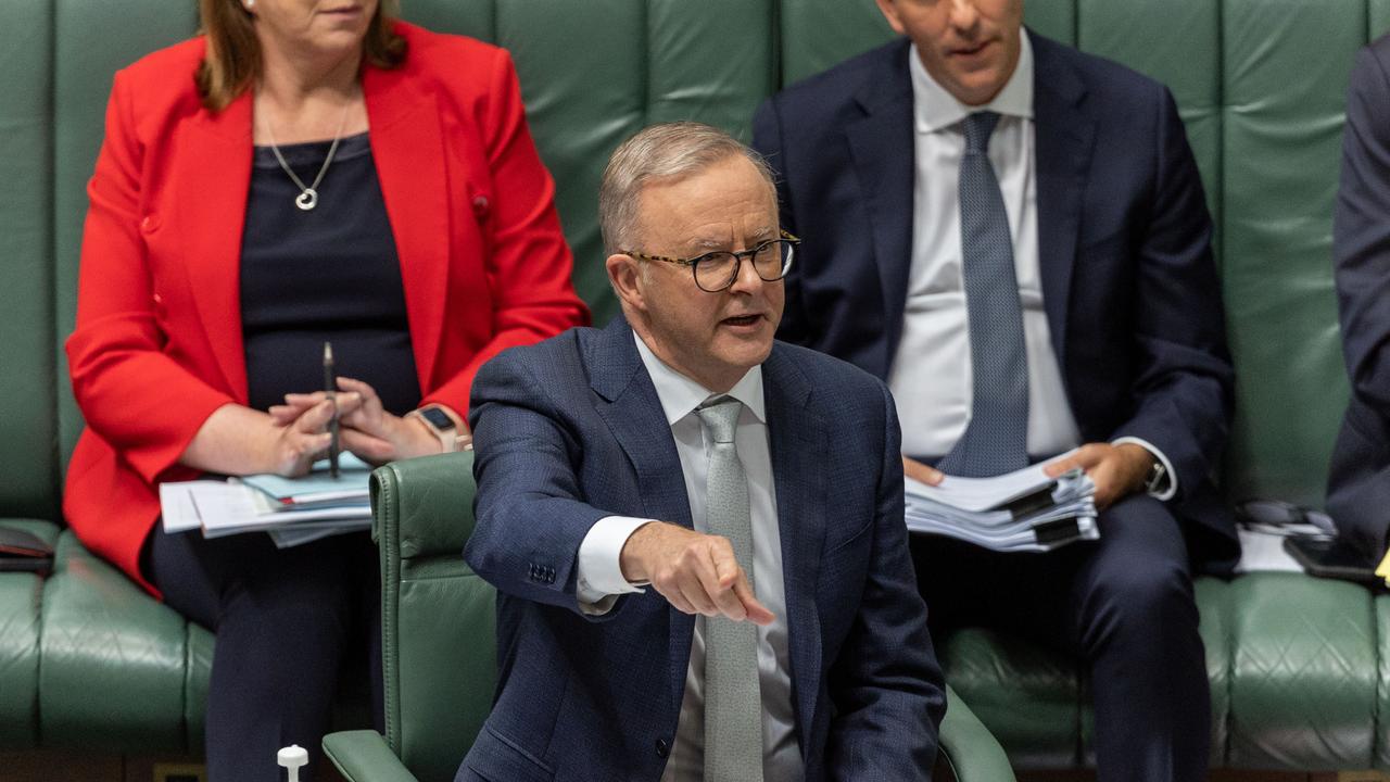 Mr Albanese wasn’t happy with the shadow treasurer. Picture: NCA NewsWire / Gary Ramage