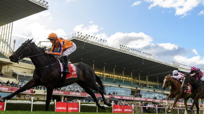 Imperatriz will have her next two starts in Group 1 company at Moonee Valley. Picture: Vince Caligiuri — Getty Images.