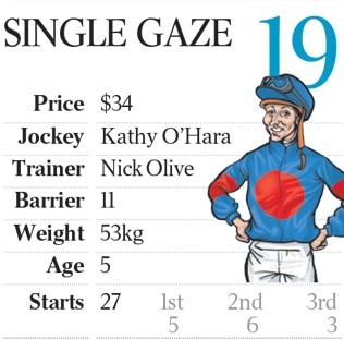 Melbourne Cup 2017 colours and stats