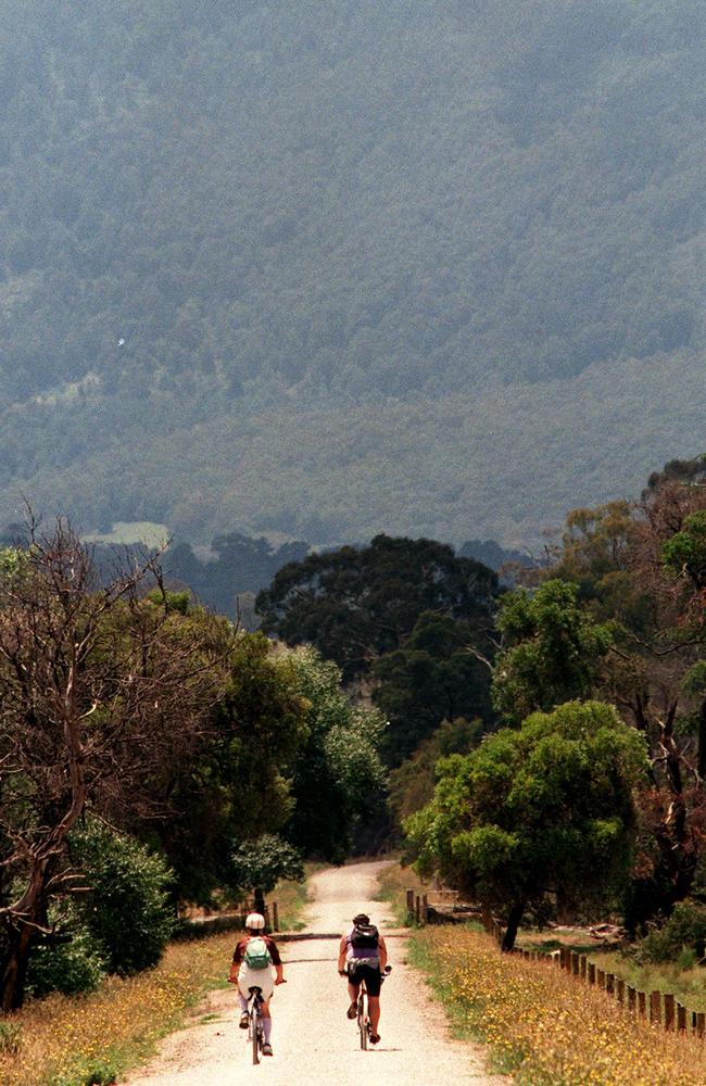 The picturesque Lilydale to Warburton Rail Trail follows the old Lilydale rail line.