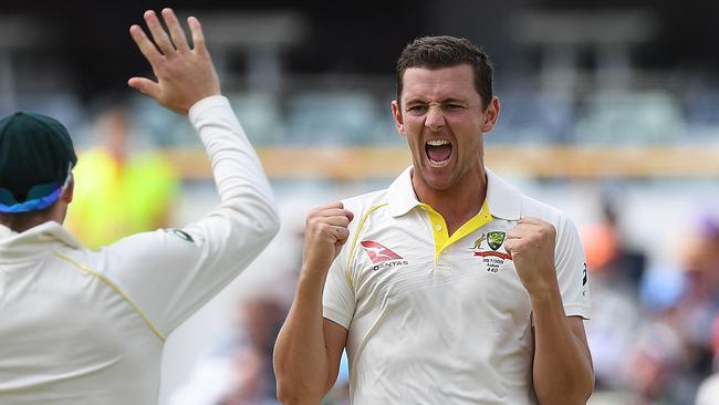 Josh Hazlewood sits second for wickets taken in the current series.