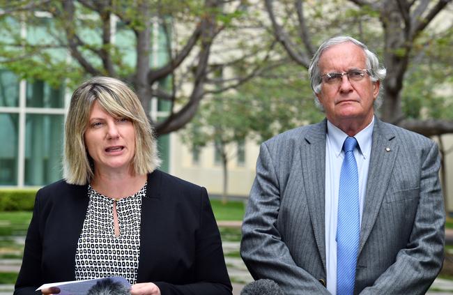 Dr Sara Townend and Australian Medical Association's paediatric representative Dr Paul Bauert speak to the media during a press conference at Parliament House in Canberra last month.