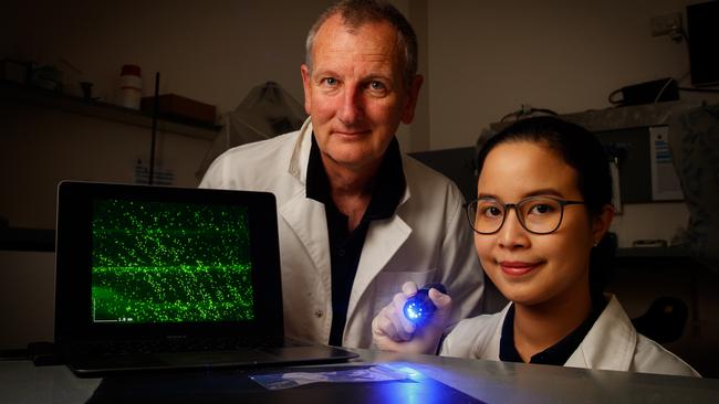 Flinders University Professor Adrian Linacre with PhD student Piyamas Kanokwongnuwut demonstrating the DNA detection technique. Picture: Matt Turner