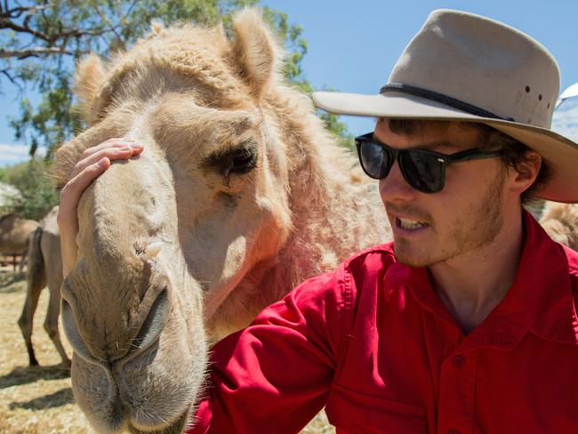 Allan Dixon’s animal selfies - camel. Pic: @Daxon/Caters News