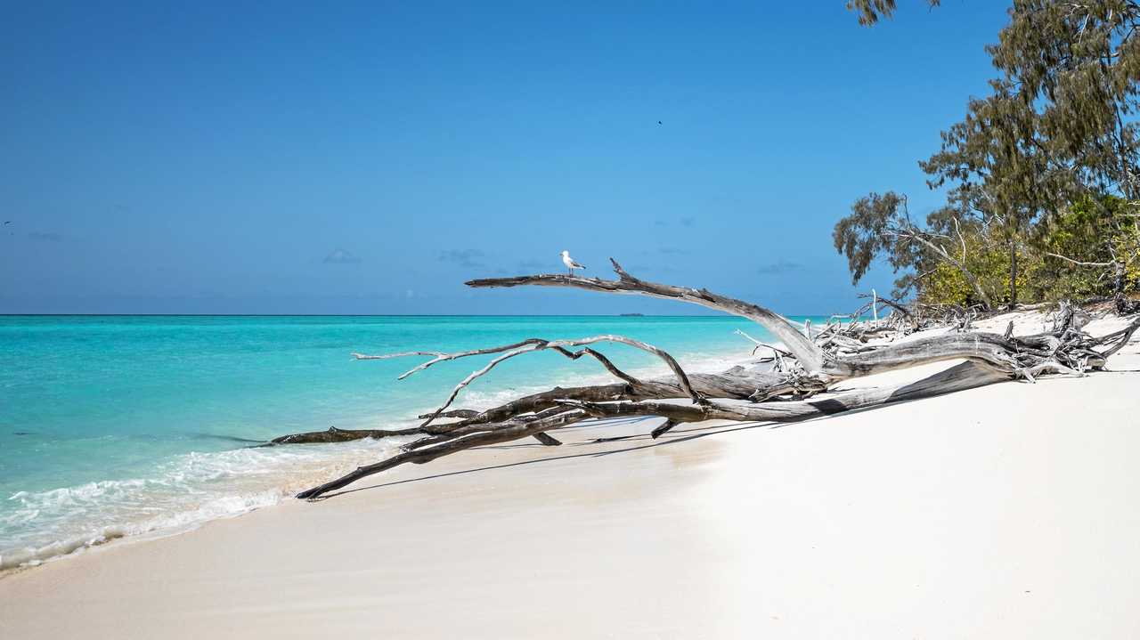 ISLAND FUN: Curtis Ferry regularly visits the Capricorn Bunker Group of islands. Picture: Contributed