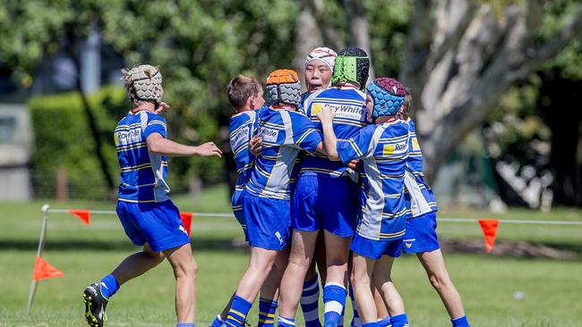 Day One of King of the Country rugby tournament at James Overell Park, Southport. possible. Sunshine Coast Invitational Barbarians U13s (Blue/yellow) v USQ Saints U13s (celebrating after a try). Picture: Jerad Williams