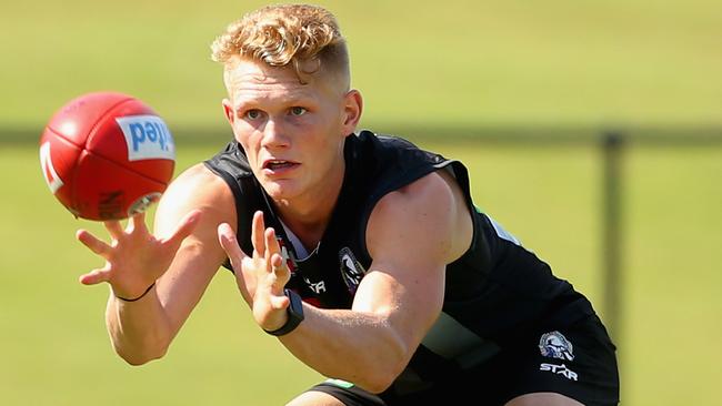 Adam Treloar didn’t disappoint in his Collingwood debut.