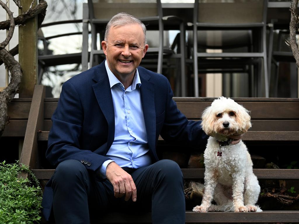 Mr Albanese at home with his dog Toto. Picture: NCA NewsWire/Bianca De Marchi