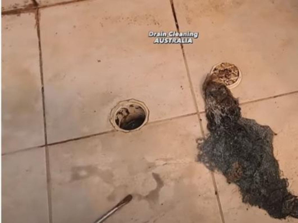 A plumber has been labelled a hero after making a rather hairy discovery while unblocking a drain in a Perth hotel room bathroom