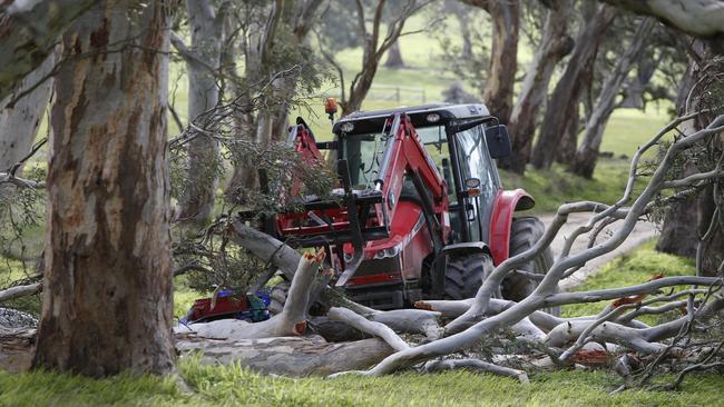 The scene where a falling tree killed Hills local Ray Fox. Picture: Simon Cross