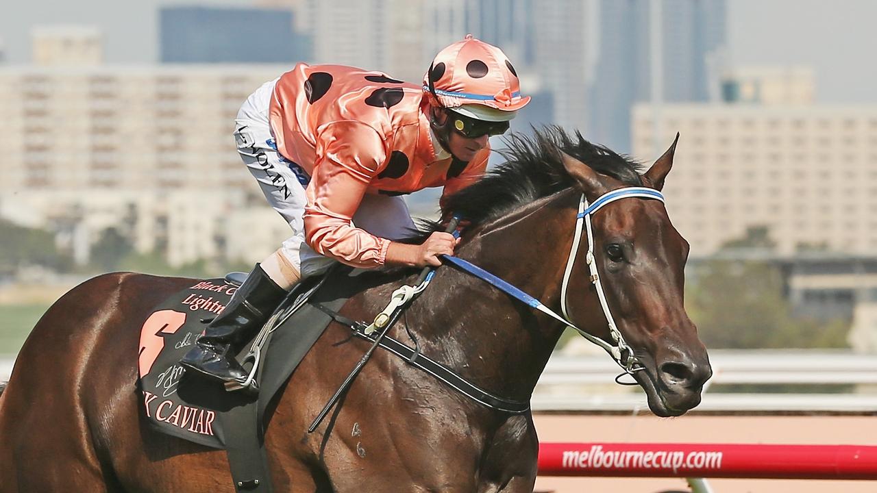 ‘Could not be saved’: Sad twist after tragic Black Caviar passing