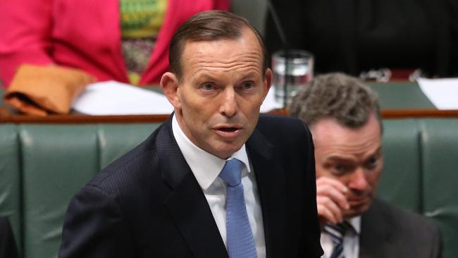 Tony Abbott delivers a statement on national security in federal Parliament on Tuesday.