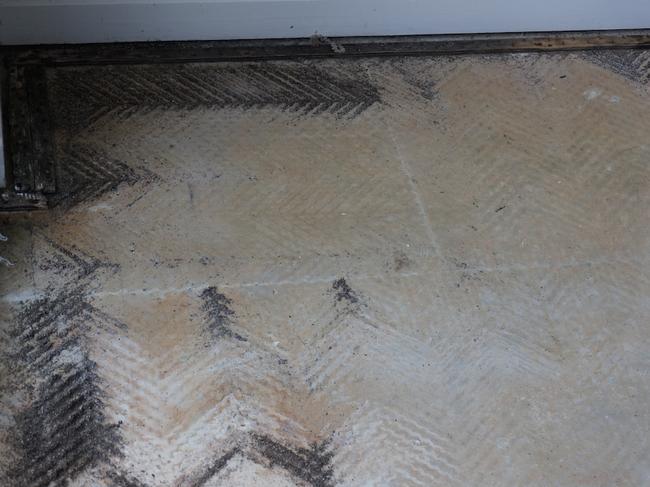 Toxic black mould can build up under carpet.