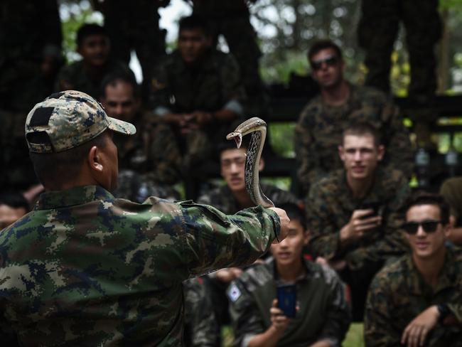 US and South Korean marines watch as a Thai marine handles a cobra during the Cobra Gold joint military exercise. Picture: AFP