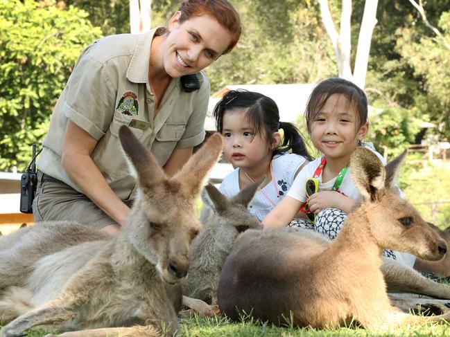 Kayla Ousley Head of Education, feeding the kangaroos with Emma Chang, 4, and Sabrina Chau, 5 of Hong Kong, Lone Pine Koala Sanctuary, Fig Tree Pocket. Photographer: Liam Kidston