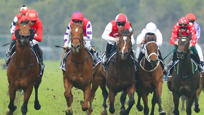 Smart Image (left) went on to win the opening race at Rosehill Gardens. Picture: Getty Images