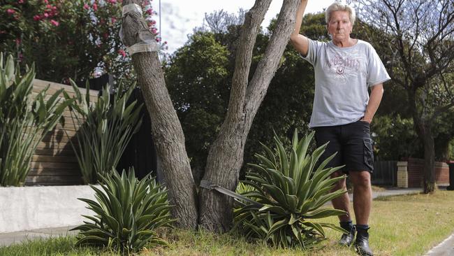 Cheltenham man Scott West has furious when Kingston Council told him to remove the “dangerous” spiky plants he planted on his nature strip.