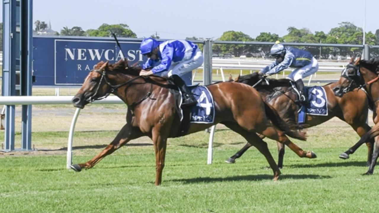 The Mark Minervini-trained Rubi's Serve wins at Newcastle in December last year. PIcture: Bradley Photos