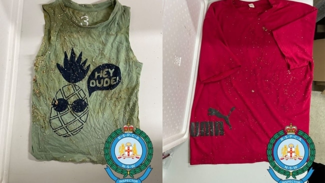A red Puma T-shirt and a toddler-sized green singlet with a pineapple print were also found inside the esky. Picture: RSPCA NSW