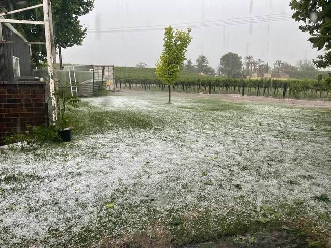 ‘Like a warzone’: Storms cost Riverland growers millions