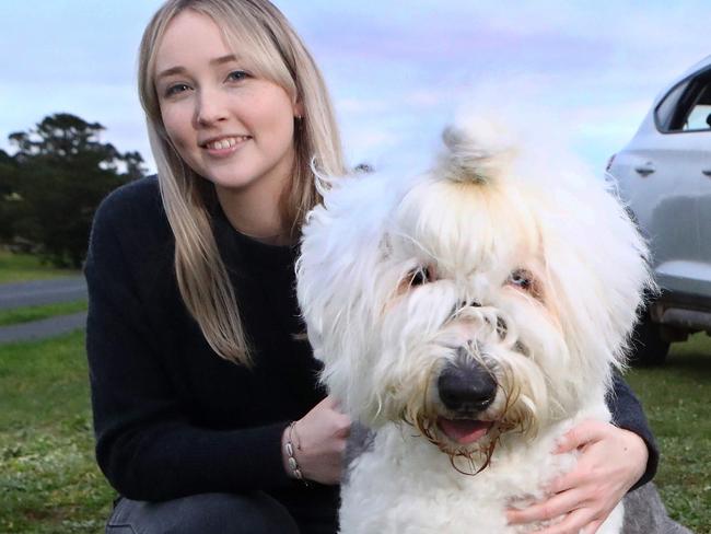 Uber driver James Kittelty and pet owner Georgia Blood with Chester. Uber will be launching a new type of ride - Uber Pet in Geelong. picture: Glenn Ferguson