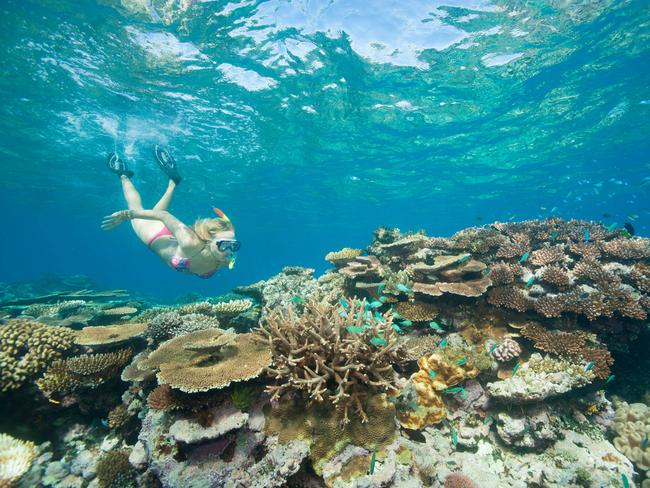 Best place on Earth? Great Barrier Reef ranked the No.1 place in the world to visit. Picture: Stuart Ireland