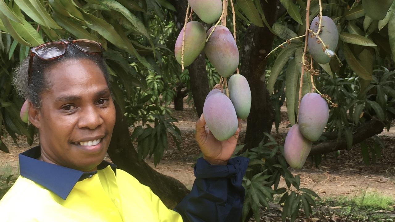 Much needed fruit pickers flying into Darwin for mango season