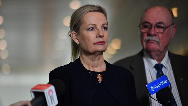 Environment Minister Sussan Ley spent the last week in Europe, lobbying a number of World Heritage Committee members to overturn the draft decision. Picture: Getty