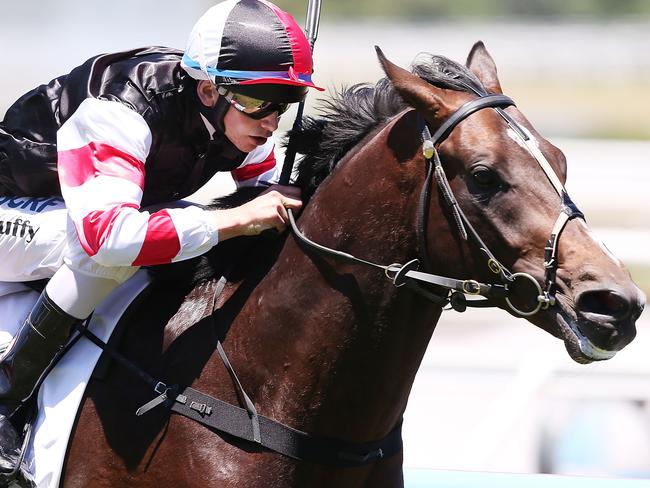 Lord Of The Sky salutes at Caulfield in 2013. Picture: Getty Images