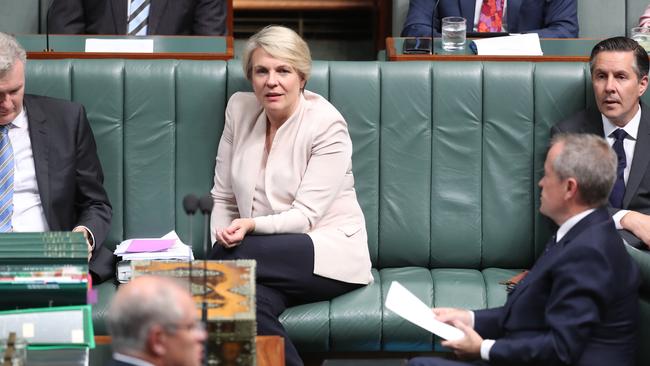 A good tenant ... Tanya Plibersek. Picture: Kym Smith