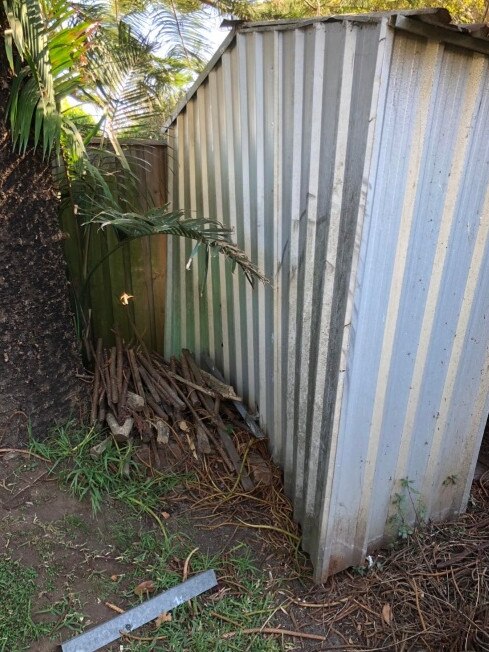 She has since had to remove her shed due to the tree damage.