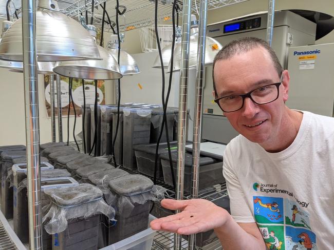 Professor Nigel Andrew, and Chair of Science at Southern Cross University has been recognised by the Australian Entomological Society for his contributions to insect science.