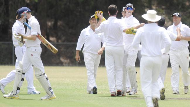 Berowra batting v Asquith cricket at Berowra Park Asquith celebrate a caught and bowled of Berowra batsman Max Sleeman.