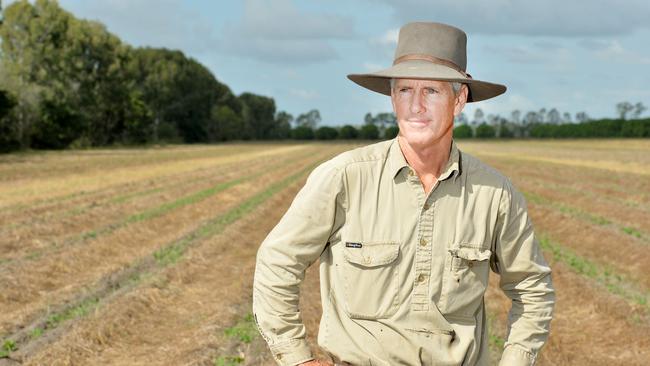 Peter Le Feuvre said his farm would be slowing down its packing shed by week’s end because the market price would drop below the cost of production soon.