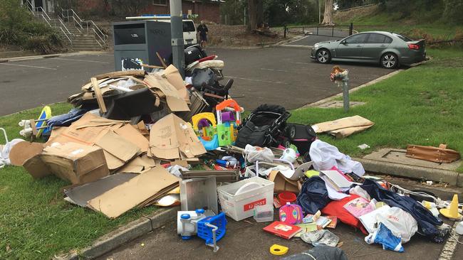 Users of the park are frustrated and disgusted by the dumping of hard rubbish.