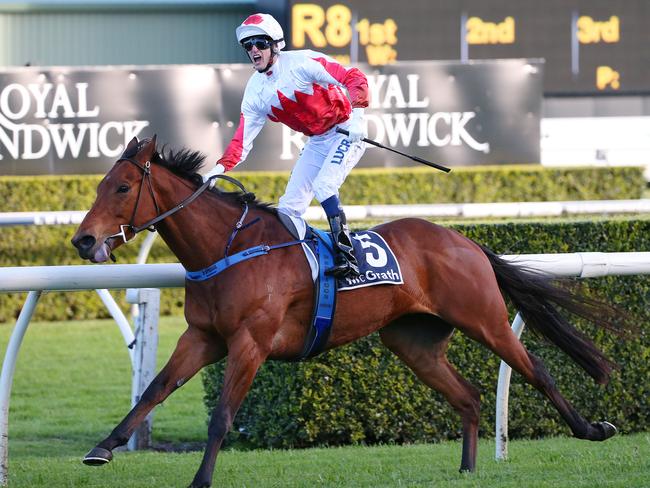 Sir John Hawkwood is a value bet in race 8 at Caulfield today.