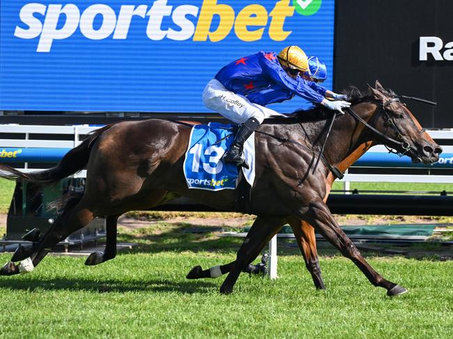 Queman wins the Group 1 Oakleigh Plate at Caulfield on Saturday. Picture: Reg Ryan/Racing Photos via Getty Images