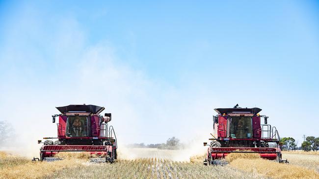 Canola being harvested at Brayden Botheras’ property in the Mallee. Picture: Zoe Phillips.