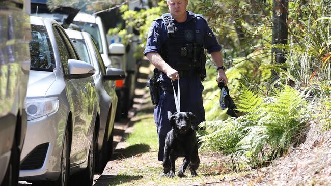 A labrador joins homicide detectives in Bayview. Picture: Hollie Adams